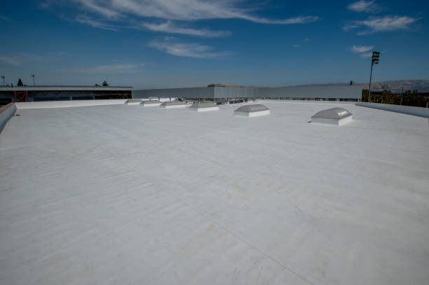 Best Rubber Roofing (EPDM, TPO)  in Morrisville, NY