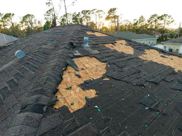 Best Roof Maintenance and Cleaning  in Morrisville, NY