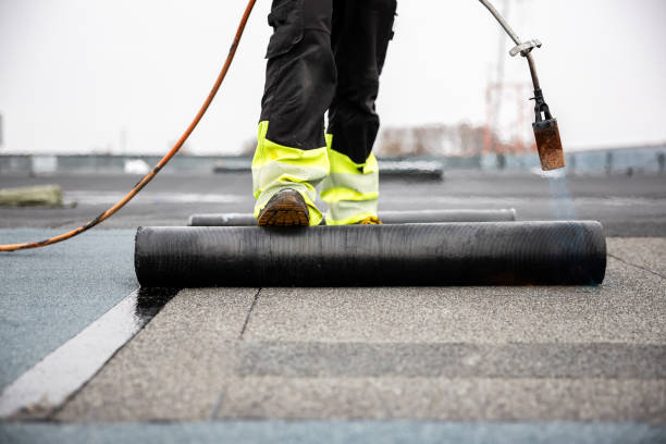 Best Roof Ventilation Installation  in Morrisville, NY